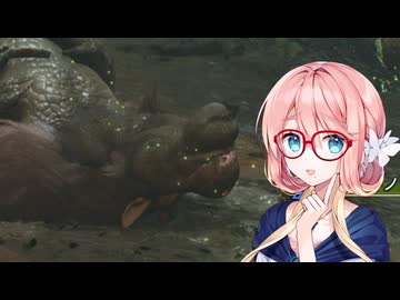 そらさんの狩猟生活..その２