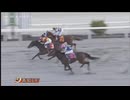 2025年3月25日高知競馬6R 妹尾将充親子協賛 ずっと忘れないよ特別(B-2組) エイシンツーリング