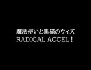 【知る人ぞ知るゲーム名曲】魔法使いと黒猫のウィズ - RADICAL ACCEL！
