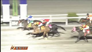 2025年3月25日高知競馬8R 高知県厩務員会協賛 塚本雄大を忘れない特別(C3-3組) キングダムウイナー