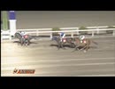 2025年3月25日高知競馬10R 目迫厩舎協賛 塚本雄大特別(C3-1組) グレイストーム