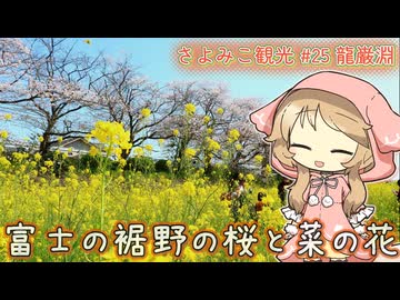 さよみこ観光 龍巌淵(静岡県)