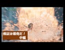【MHWilds】はぐれ環境調査員の調査記録「検証は爆発だ！中編」