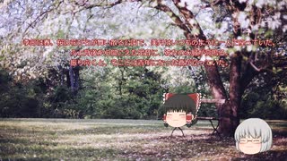 未来を描く月影 第一話　月明かりの約束