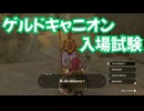 ゼルダの伝説　ティアーズ オブ ザ キングダム　実況プレイPart324