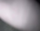 76475584264__CAE0F6B0-3C74-4A52-9AA5-7D5423A5A090