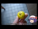 ゆっくり農民260畑を拓いてみませんか？#44