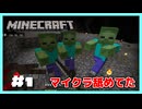 【実況】圧倒的！初心者マイクラ大冒険物語✨＃１『鉄を採掘するはずが...』