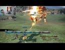 FF13-529