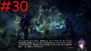 【実況】常に死と隣り合わせの過酷な世界を生き抜く【Outward Definitive Edition】part30