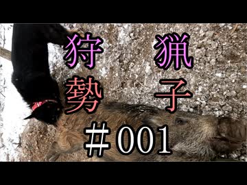 狩猟勢子動画＃001　(結月ゆかり＆中国うさぎ解説)