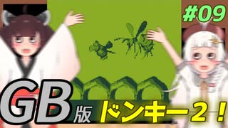 【ドンキーコングランド】きりきずゴリランドGB #09【VOICEROID実況】