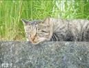 【We♡ウィスキー 2025】少し愛して、長く愛して