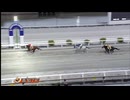 2025年3月26日高知競馬7R ありがとう松木調教師 ５７年お疲れさま特別(C1-5組) ヴァンケドミンゴ