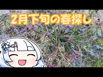 2月下旬の春探し