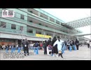 ワークショップコレクション