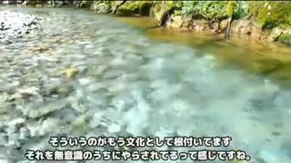 霊的問題とは？精神病、うつ病、本当の問題。
