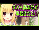 【ハミダシクリエイティブ】454　エモエモでエロエロな攻略√が始まったと思ったら初手で煽りやがる生意気な妹√だった