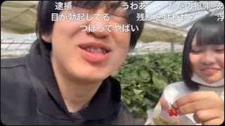 【ぜんか】「まいちゃんの手についたイチゴが舌の中に入ってきた。おいちい。」 【ニコ生】