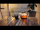 Teapot and porcelain cup on table at sunset
