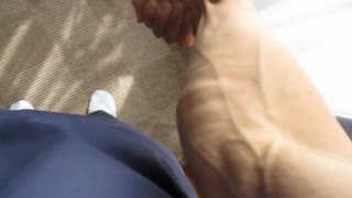 前腕の筋肉密度チェック　おっさんの筋肉アピール