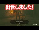 ゼルダの伝説　ティアーズ オブ ザ キングダム　実況プレイPart327