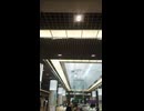 VID_20250330_120555118