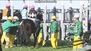 2025 高松宮記念 (GⅠ)　サトノレーヴ