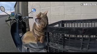 バイクに乗って