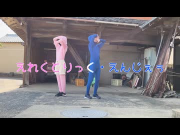 えれくとりっく・えんじぇぅ 踊ってみた 【わさびと弟】