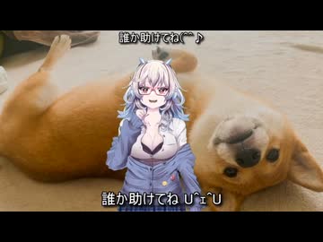 メス負ライザー