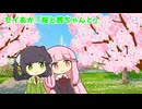 セイあか「桜と茜ちゃんと」