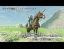 ゼルダの伝説ブレスオブザワイルド マスターモードでやれることを全てやる一発撮りRTA 第0回 事前説明動画