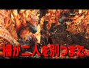 柵が二人を別つまで【モンスターハンターワイルズ】＃22