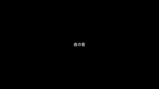 夜の音