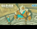 【ゼルダの伝説BotW】初めてのブレワイ！折れない心で未知の世界へ！#45【実況】