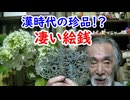【絵銭】漢王朝の状況が推察できるかも？すごい絵銭に迫れ！！