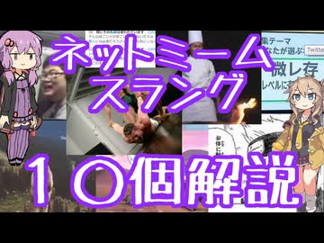 今さら人に聞けないネットのネタ解説その22【結月ゆかり×春日部つむぎ】