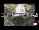 【ゆっくり朗読】ゆっくりさんと世界事件簿 その385