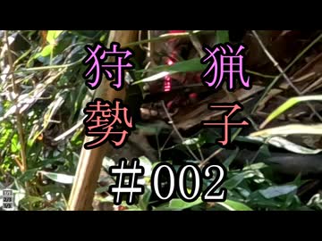 狩猟勢子動画＃002　(結月ゆかり＆中国うさぎ解説)