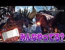 闘技大会って何なん！？【モンスターハンター】
