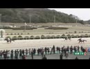 2025年3月30日佐賀競馬1R 国内最多勝 的場文男騎手引退記念 唯一無二 渾身の的場ダンス賞(C2) パワポケプリメーロ