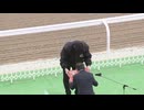 2025年3月30日佐賀競馬2R 国内最多勝 的場文男騎手引退記念 郷土の誉れ レジェンド的場文男賞(C2) 表彰式