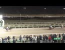 2025年3月30日佐賀競馬9R さがけいばリバイバルデー Ｉｔ’ｓ Ａ Ｇｒｅｅｎ Ｄｒｅａｍ賞(A1・A2) マイネルサハラ