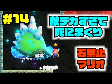 敵が巨大化するワンダー！”右入力せず"に逃げ切れるか…？【右禁止ワンダー実況14】