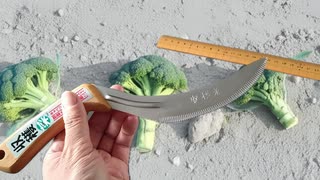 野菜収穫用ナイフ 収穫菜を使ってみた