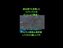初心者のモンハンワイルズ奮闘記ゲーム実況：ラバラ・バリナをガンランスで初見狩り！【モンハンほぼ初心者プレイ