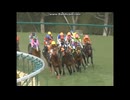 2006 アーリントンカップ (GIII)　ステキシンスケクン