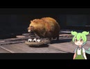 【ずんだもん】正しい歴史認識に基づくアサシンクリードシャドウズ実況 part6【アサクリ】