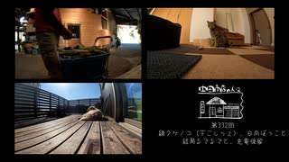 【第332回】緑タケノコ（下ごしらえ）と、日向ぼっこと、結局なでなでと、充電保留
